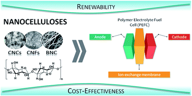 Graphical abstract: Nanocellulose-based materials as components of polymer electrolyte fuel cells