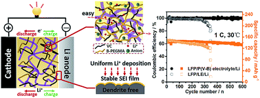 Graphical abstract: A borate decorated anion-immobilized solid polymer electrolyte for dendrite-free, long-life Li metal batteries