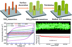 Graphical abstract: Hollow TiN nanotrees derived from a surface-induced Kirkendall effect and their application in high-power supercapacitors
