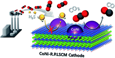 Graphical abstract: A sulfur-tolerant cathode catalyst fabricated with in situ exsolved CoNi alloy nanoparticles anchored on a Ruddlesden–Popper support for CO2 electrolysis