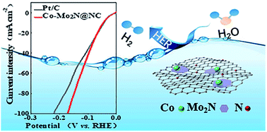 Graphical abstract: A Co–Mo2N composite on a nitrogen-doped carbon matrix with hydrogen evolution activity comparable to that of Pt/C in alkaline media