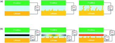 Graphical abstract: A bifunctional auxiliary electrode for safe lithium metal batteries