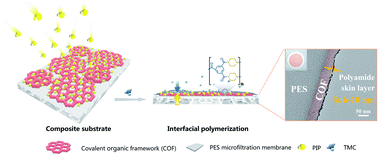 Graphical abstract: Covalent organic framework-modulated interfacial polymerization for ultrathin desalination membranes
