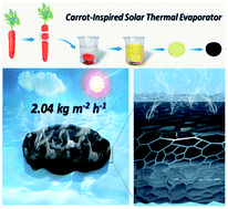 Graphical abstract: Carrot-inspired solar thermal evaporator