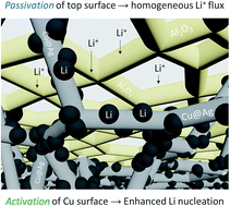 Graphical abstract: Efficient and robust lithium metal electrodes enabled by synergistic surface activation–passivation of copper frameworks