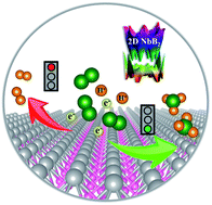 Graphical abstract: Two-dimensional transition metal diborides: promising Dirac electrocatalysts with large reaction regions toward efficient N2 fixation