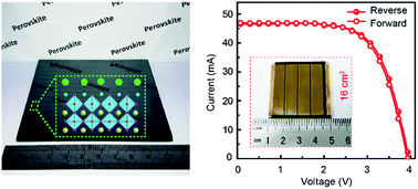 Graphical abstract: Br-containing alkyl ammonium salt-enabled scalable fabrication of high-quality perovskite films for efficient and stable perovskite modules