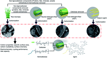 Graphical abstract: Chemical-enzymatic fractionation to unlock the potential of biomass-derived carbon materials for sodium ion batteries