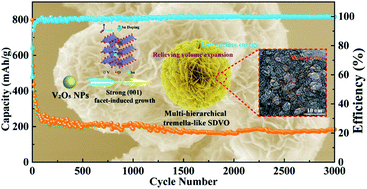 Graphical abstract: Strong (001) facet-induced growth of multi-hierarchical tremella-like Sn-doped V2O5 for high-performance potassium-ion batteries