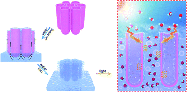 Graphical abstract: A nanopump for low-temperature and efficient solar water evaporation