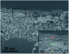 Graphical abstract: Stable lithium metal anodes enabled by inorganic/organic double-layered alloy and polymer coating