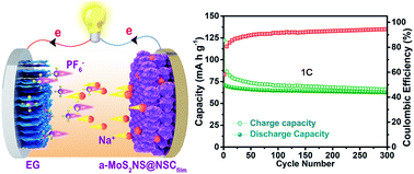Graphical abstract: Layer-by-layer stacked nanohybrids of N,S-co-doped carbon film modified atomic MoS2 nanosheets for advanced sodium dual-ion batteries