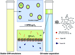 Graphical abstract: Amphiphilic hyperbranched polyethyleneimine for highly efficient oil–water separation