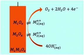 Graphical abstract: Stability profiles of transition metal oxides in the oxygen evolution reaction in alkaline medium