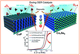 Graphical abstract: MXene supported CoxAy (A = OH, P, Se) electrocatalysts for overall water splitting: unveiling the role of anions in intrinsic activity and stability