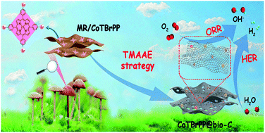 Graphical abstract: A Br-regulated transition metal active-site anchoring and exposure strategy in biomass-derived carbon nanosheets for obtaining robust ORR/HER electrocatalysts at all pH values