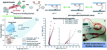 Graphical abstract: Genetically engineered protein based nacre-like nanocomposites with superior mechanical and electrochemical performance