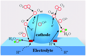 Graphical abstract: Pr2BaNiMnO7−δ double-layered Ruddlesden–Popper perovskite oxides as efficient cathode electrocatalysts for low temperature proton conducting solid oxide fuel cells