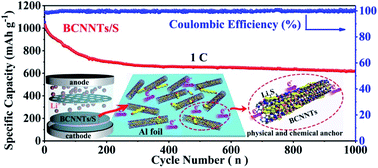 Graphical abstract: Shuttle confinement of lithium polysulfides in borocarbonitride nanotubes with enhanced performance for lithium–sulfur batteries