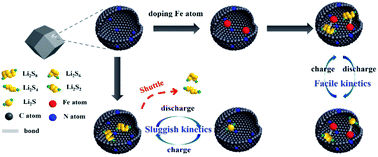 Graphical abstract: Iron single-atom catalyst anchored on nitrogen-rich MOF-derived carbon nanocage to accelerate polysulfide redox conversion for lithium sulfur batteries