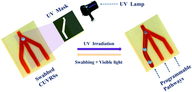 Graphical abstract: UV-driven self-replenishing slippery surfaces with programmable droplet-guiding pathways