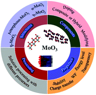 Graphical abstract: Diverse applications of MoO3 for high performance organic photovoltaics: fundamentals, processes and optimization strategies