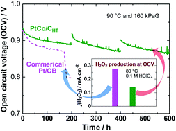 Graphical abstract: Unparalleled mitigation of membrane degradation in fuel cells via a counter-intuitive approach: suppression of H2O2 production at the hydrogen anode using a Ptskin–PtCo catalyst