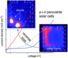 Graphical abstract: Instability of p–i–n perovskite solar cells under reverse bias