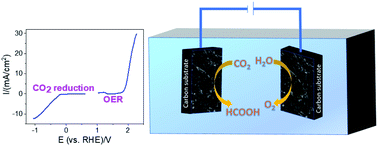 Graphical abstract: Bifunctional nickel and copper electrocatalysts for CO2 reduction and the oxygen evolution reaction