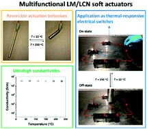 Graphical abstract: Multifunctional liquid crystal polymer network soft actuators