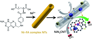 Graphical abstract: Novel folic acid complex derived nitrogen and nickel co-doped carbon nanotubes with embedded Ni nanoparticles as efficient electrocatalysts for CO2 reduction