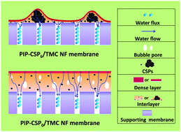 Graphical abstract: An ultrahighly permeable-selective nanofiltration membrane mediated by an in situ formed interlayer