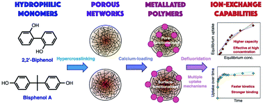 Graphical abstract: Calcium-loaded hydrophilic hypercrosslinked polymers for extremely high defluoridation capacity via multiple uptake mechanisms