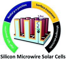 Graphical abstract: Progress in silicon microwire solar cells