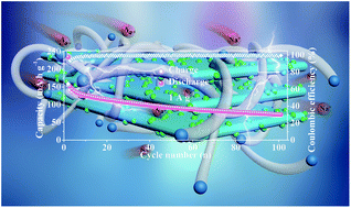 Graphical abstract: MXene-derived three-dimensional carbon nanotube network encapsulate CoS2 nanoparticles as an anode material for solid-state sodium-ion batteries