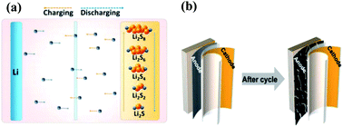 Graphical abstract: Strategies for inhibiting anode dendrite growth in lithium–sulfur batteries
