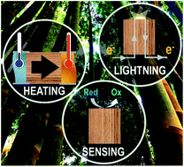 Graphical abstract: Ultra-highly conductive hollow channels guided by a bamboo bio-template for electric and electrochemical devices