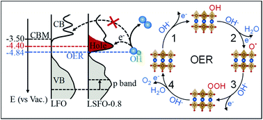 Graphical abstract: Increased activity in the oxygen evolution reaction by Fe4+-induced hole states in perovskite La1−xSrxFeO3
