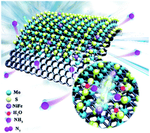 Graphical abstract: Unique hollow Ni–Fe@MoS2 nanocubes with boosted electrocatalytic activity for N2 reduction to NH3