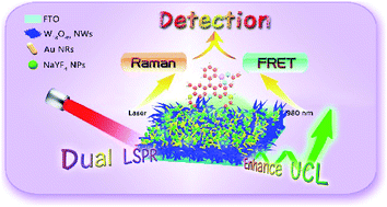 Graphical abstract: Dual LSPR of Au/W18O49 heterostructures for upconversion enhancement and application of molecular detection