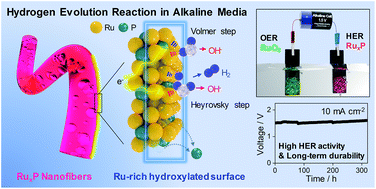 Graphical abstract: Dynamic evolution of a hydroxylated layer in ruthenium phosphide electrocatalysts for an alkaline hydrogen evolution reaction