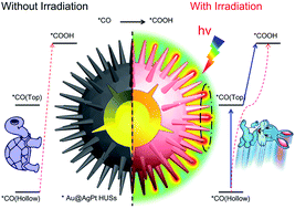 Graphical abstract: Intrinsic insight on localized surface plasmon resonance enhanced methanol electro-oxidation over a Au@AgPt hollow urchin-like nanostructure