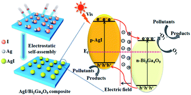 Graphical abstract: Electrostatic self-assembly of a AgI/Bi2Ga4O9 p–n junction photocatalyst for boosting superoxide radical generation