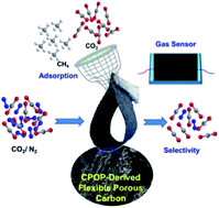 Graphical abstract: Polycarbazole and biomass-derived flexible nitrogen-doped porous carbon materials for gas adsorption and sensing