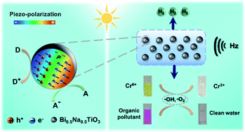 Graphical abstract: Exclusive enhancement of catalytic activity in Bi0.5Na0.5TiO3 nanostructures: new insights into the design of efficient piezocatalysts and piezo-photocatalysts