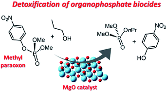 Graphical abstract: Kinetics and adsorption calculations: insights into the MgO-catalyzed detoxification of simulants of organophosphorus biocides
