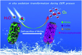Graphical abstract: In situ oxidation transformation of trimetallic selenide to amorphous FeCo-oxyhydroxide by self-sacrificing MoSe2 for efficient water oxidation