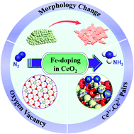 Graphical abstract: Fe-doping induced morphological changes, oxygen vacancies and Ce3+–Ce3+ pairs in CeO2 for promoting electrocatalytic nitrogen fixation