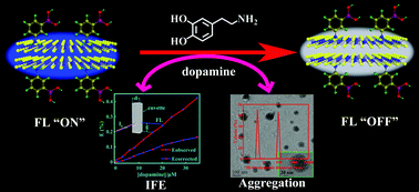 Graphical abstract: Boronic acid-functionalized molybdenum disulfide quantum dots for the ultrasensitive analysis of dopamine based on synergistic quenching effects from IFE and aggregation