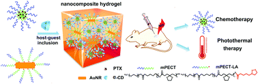 Graphical abstract: An injectable nanocomposite hydrogel co-constructed with gold nanorods and paclitaxel-loaded nanoparticles for local chemo-photothermal synergetic cancer therapy